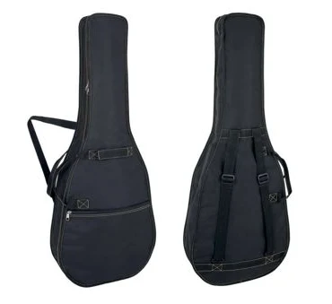 GEWApure Turtle 103 E-Guitar