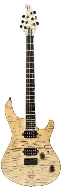 Mayones Regius 6 T-DGRN-G