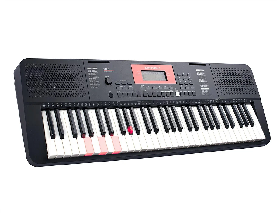Medeli M221L