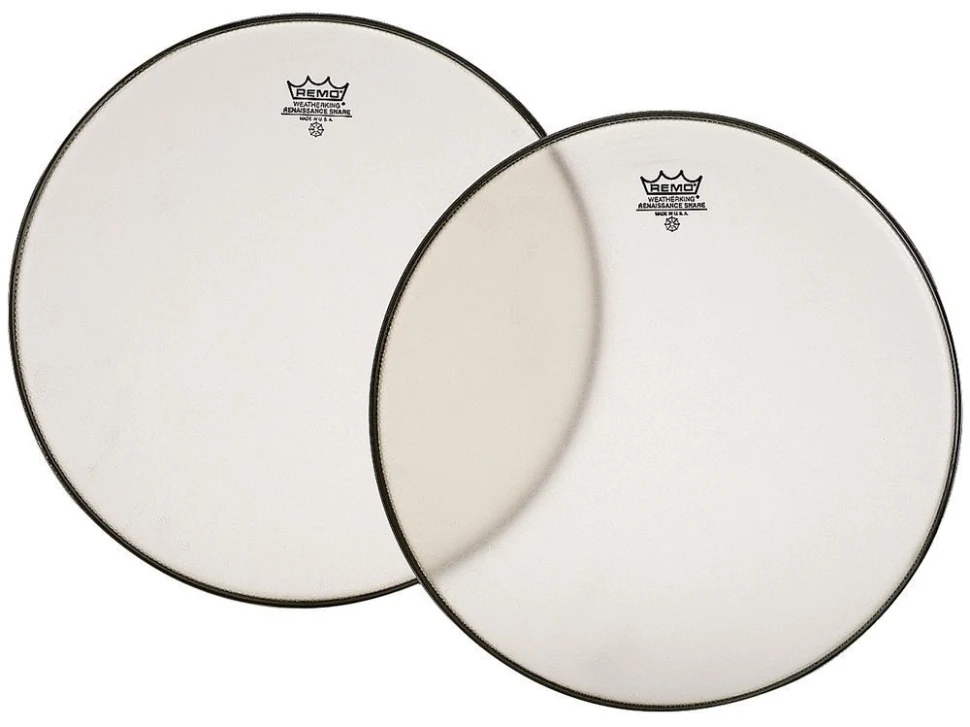 REMO Ambassador Renaissance SA-0014-SS
