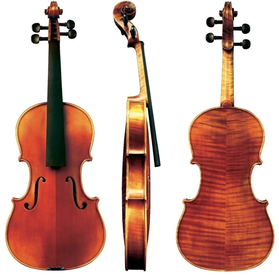 GEWA Maestro 6