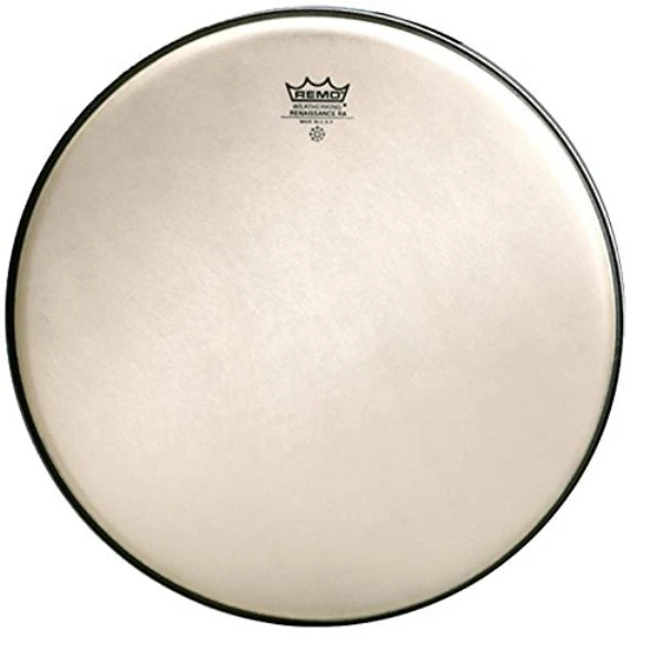 REMO RA-0014-SS Batter, Ambassador, Renaissance, 14"
