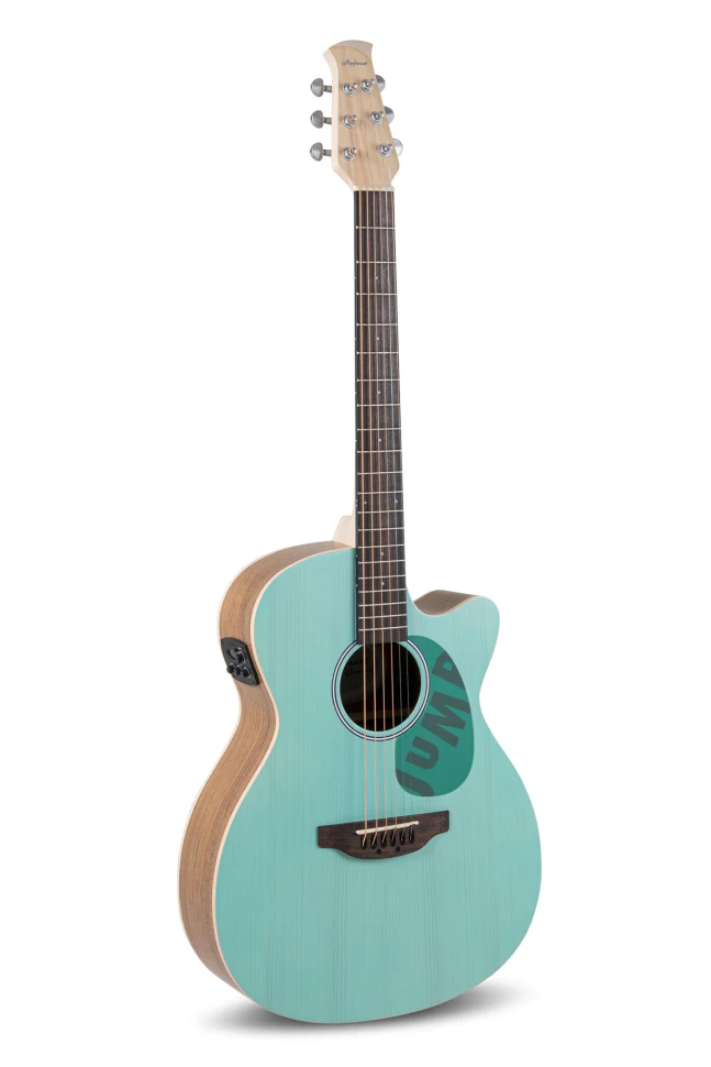Applause AEO-69-T Jump E-Acoustic Celeste