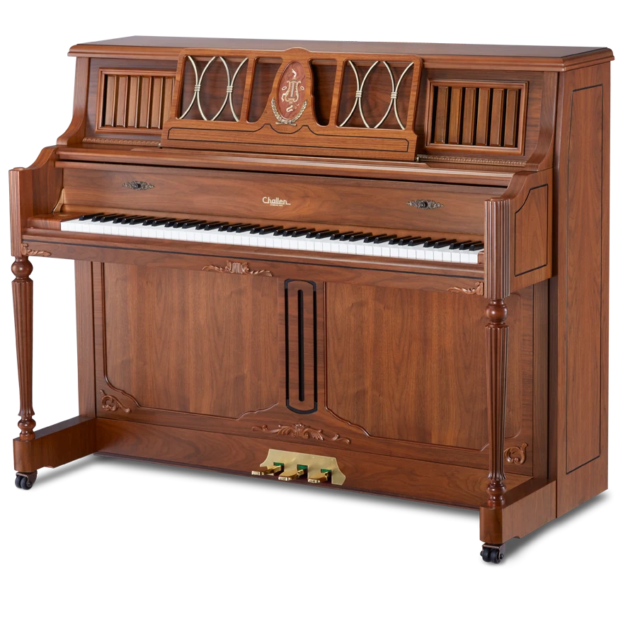CHALLEN MP500 WAST