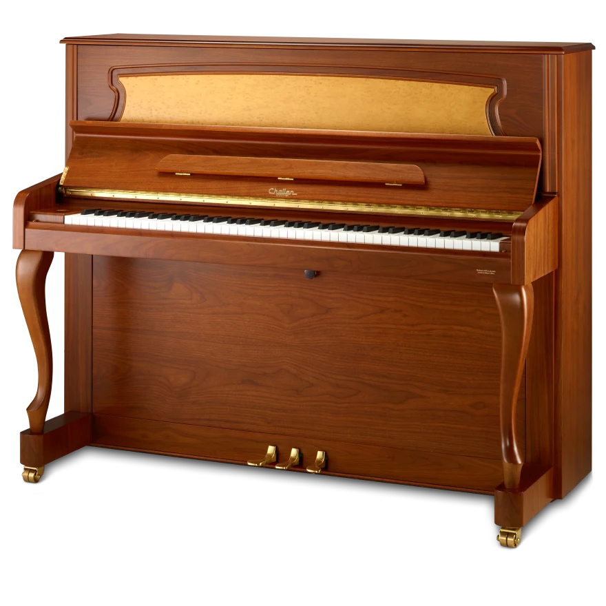 CHALLEN MP600  WAST