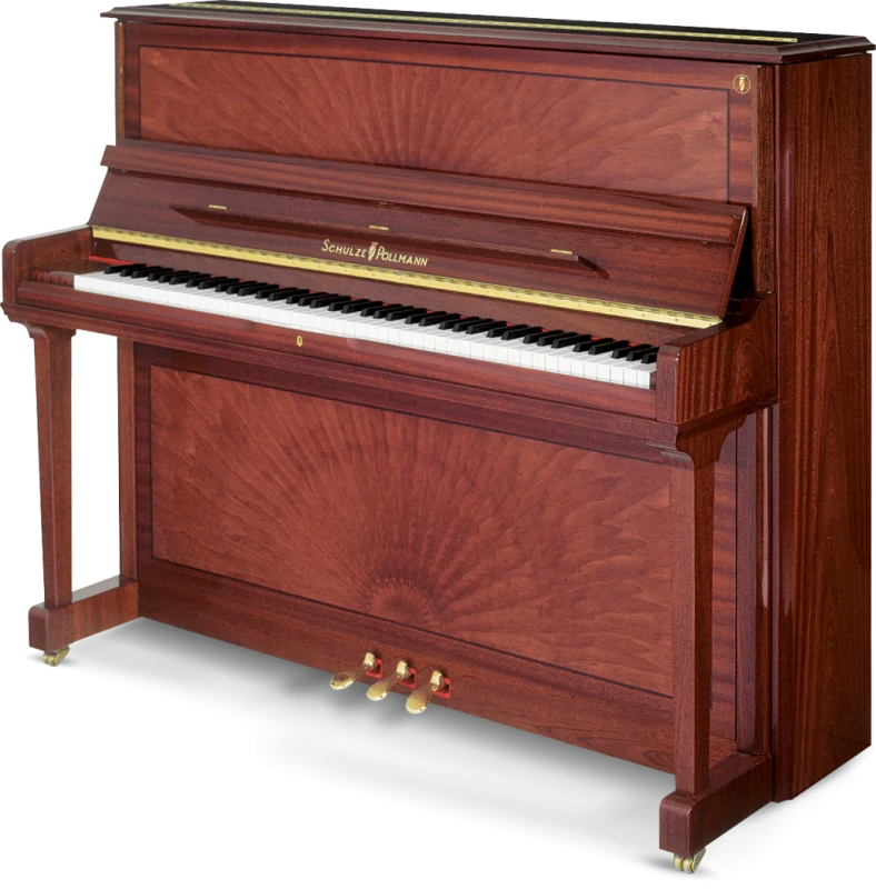 SCHULZE POLLMANN A 125A Mahogany Peacock Gloss