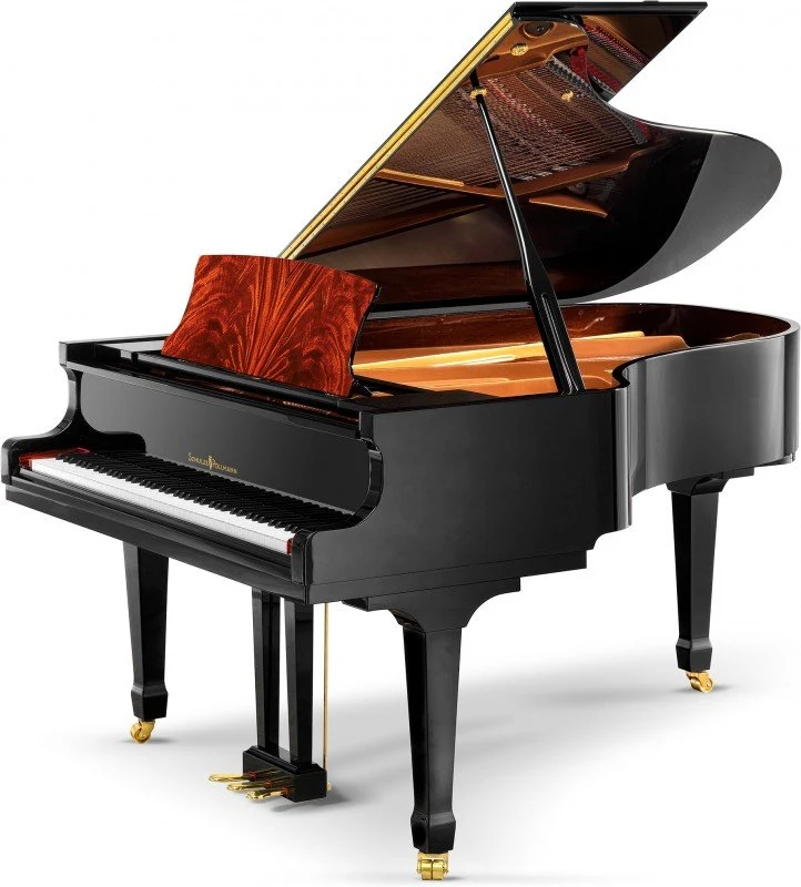 SCHULZE POLLMANN A 186R Black Gloss with Feather Mahogany Inlays