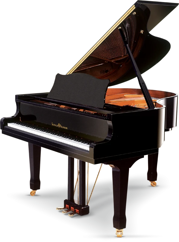 SCHULZE POLLMANN M 160 Black Gloss