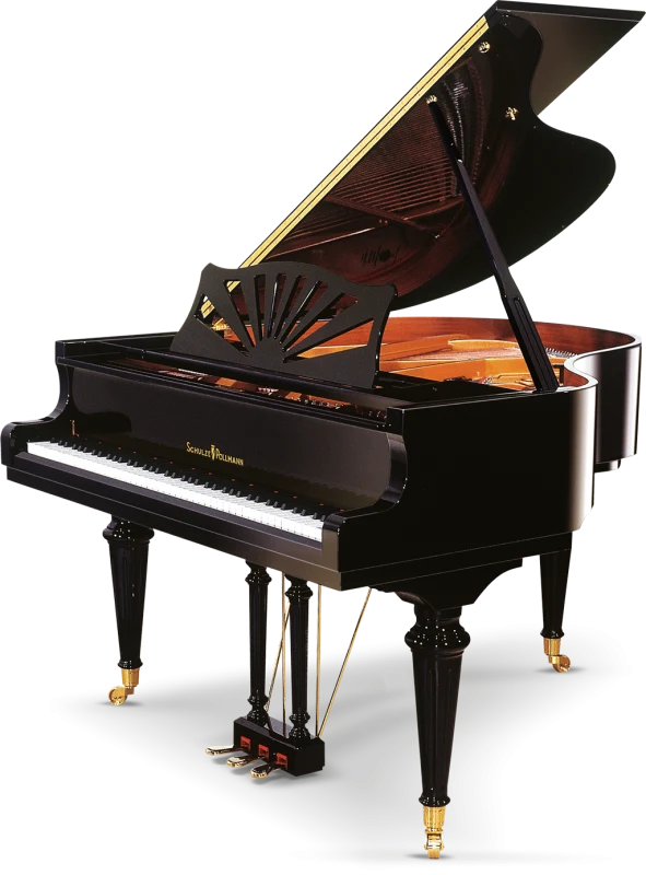 SCHULZE POLLMANN M 160 Black Victoria Gloss