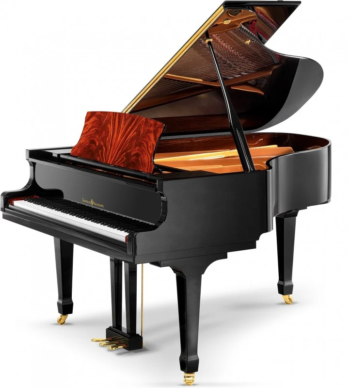 SCHULZE POLLMANN SU 172MH Black Gloss with Feather Mahogany Inlays