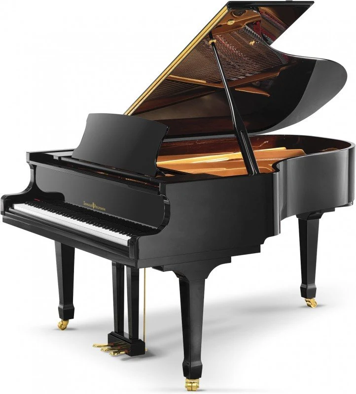 SCHULZE POLLMANN A 186 Black Gloss