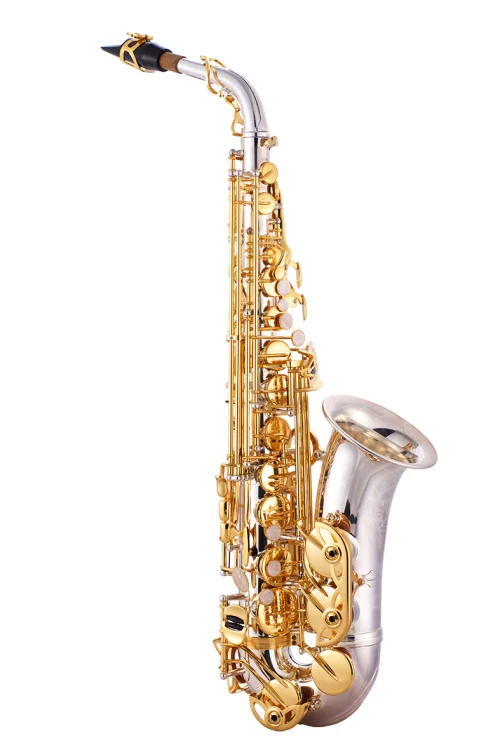 OVES A-X818SG