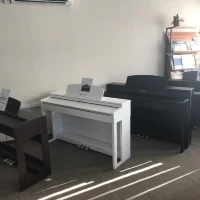 Поступление GEWA Digital Piano