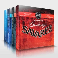 Большое поступление струн SAVAREZ!