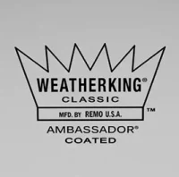 Remo Ambassador