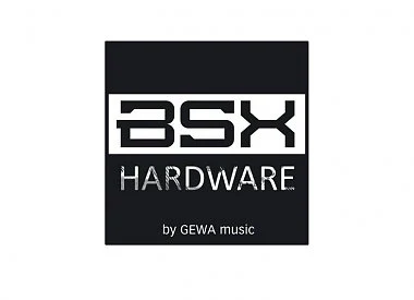 BSX