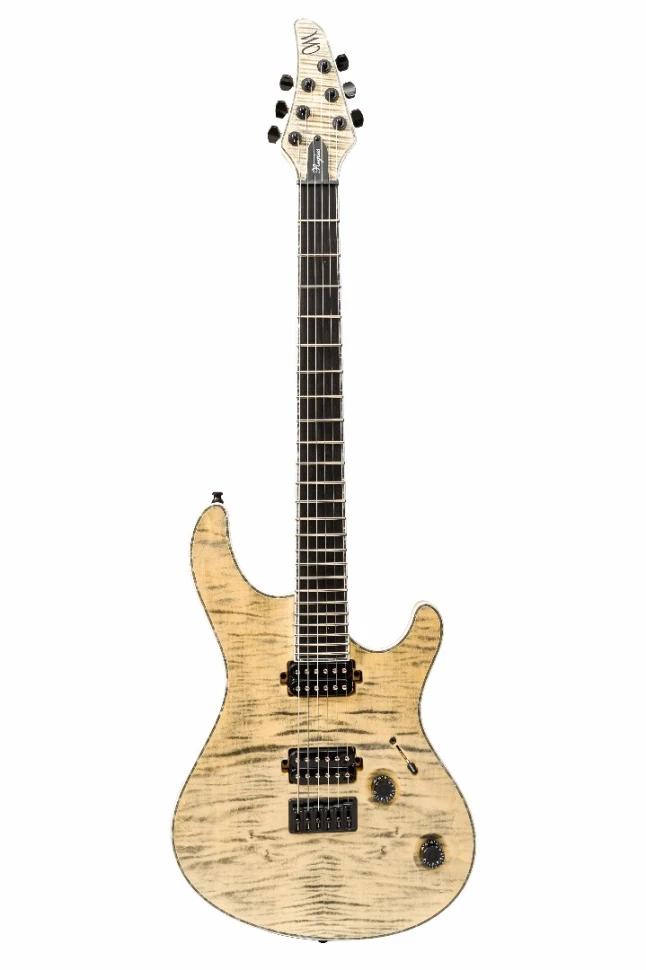 Mayones Regius 6 T-JNS-BLK-G