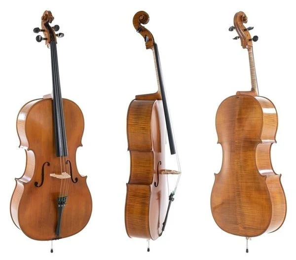GEWA Concert cello Rubner Amber