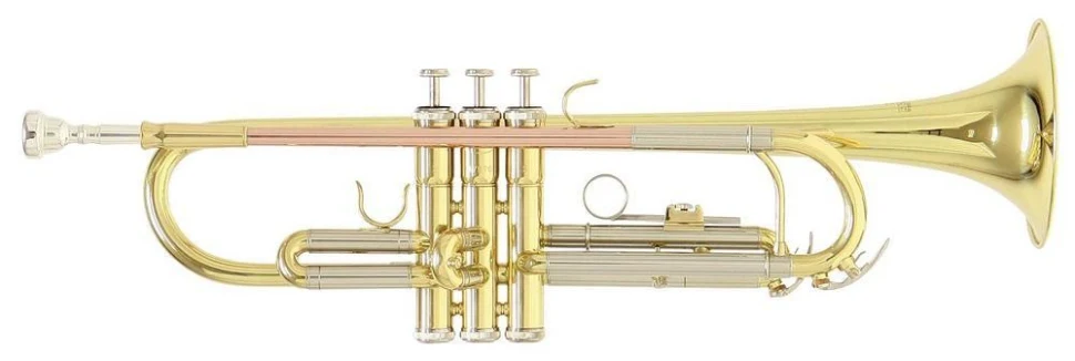 Roy Benson TR-202 Bb
