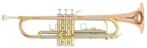 Roy Benson TR-202G Bb