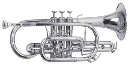 Roy Benson СR-302S Bb