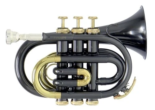 Roy Benson PT-101K Bb