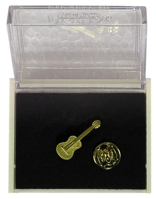 GEWA Pins Guitar