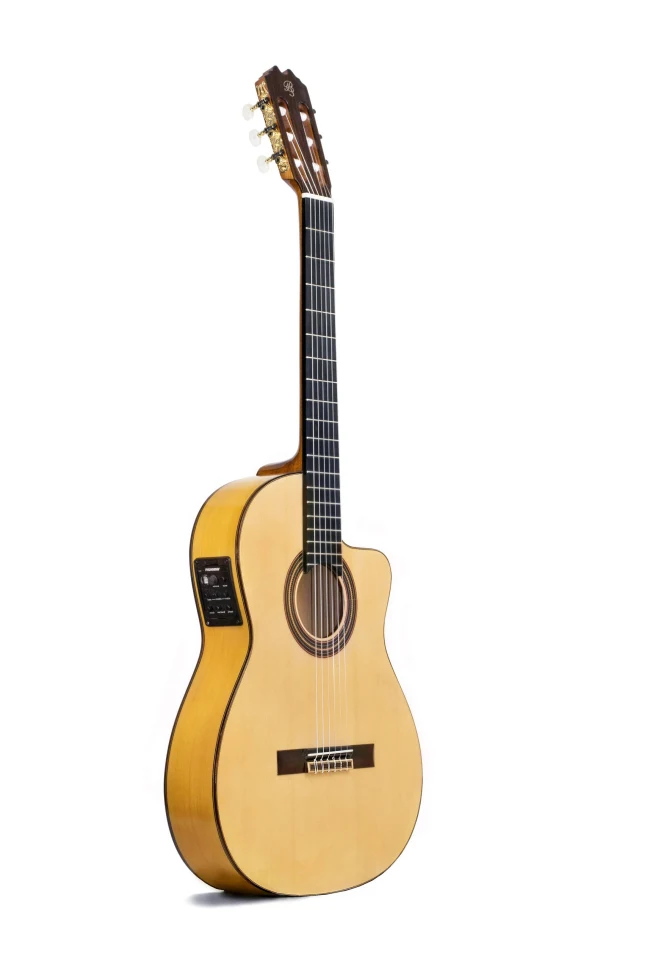 PRUDENCIO SAEZ Cutaway Model 5-CW (57)