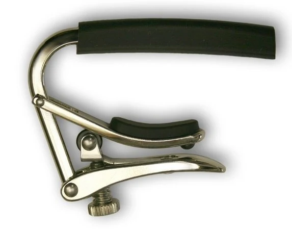 SHUBB 12-string nickel C3