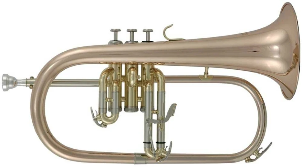 Roy Benson FH-302G Bb