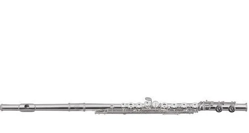 Roy Benson FL-602RІ