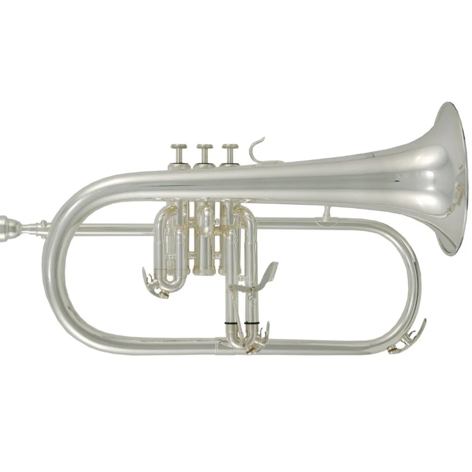 Roy Benson FH-302S Bb